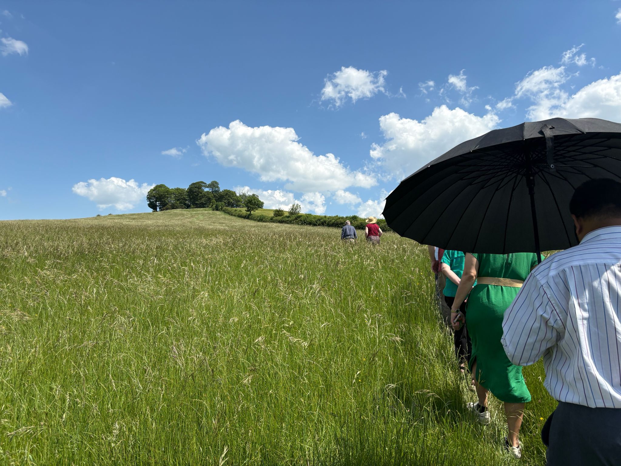 Image Some of the delegates braved the extreme heatwave to climb to the top of Kelston Roundhill and enjoy the extensive views